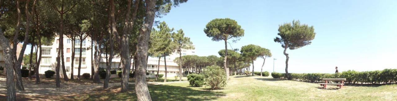 Le Belvedere 2 - Acces Direct Plage Apartment Argeles-sur-Mer Bagian luar foto